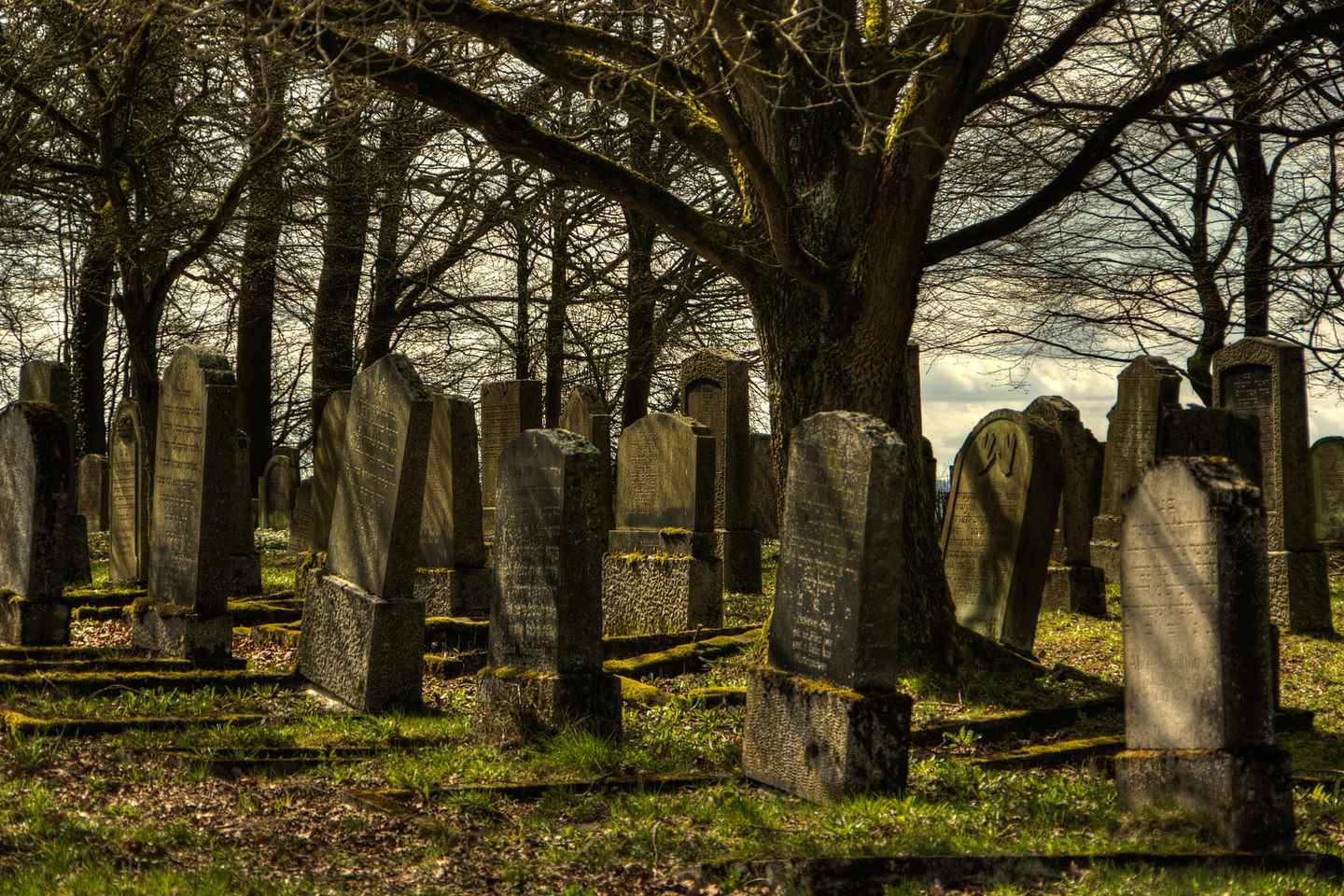 Galveston: Historic Galveston Ghost Tour thumbnail