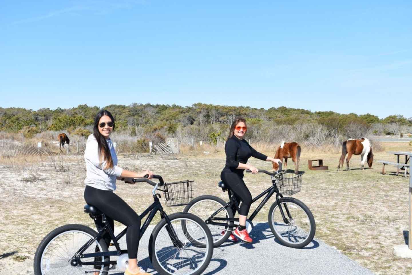 Assateague Island: Bike Rental from the Bayside Stand thumbnail