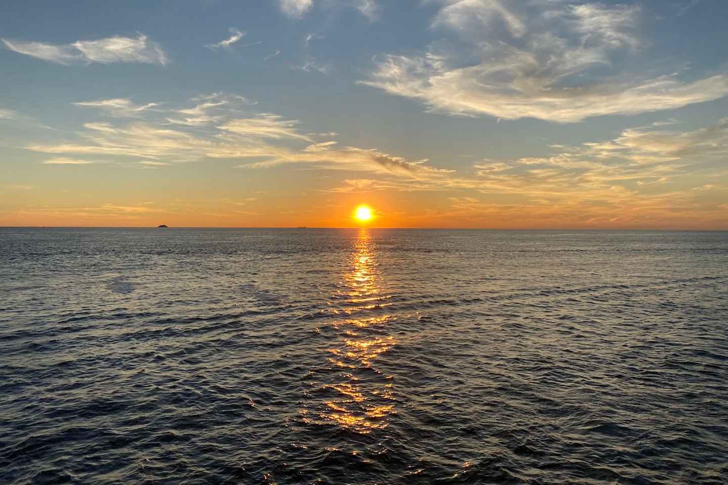 Cape May: Sunset Dolphin Watching Cruise with Food thumbnail